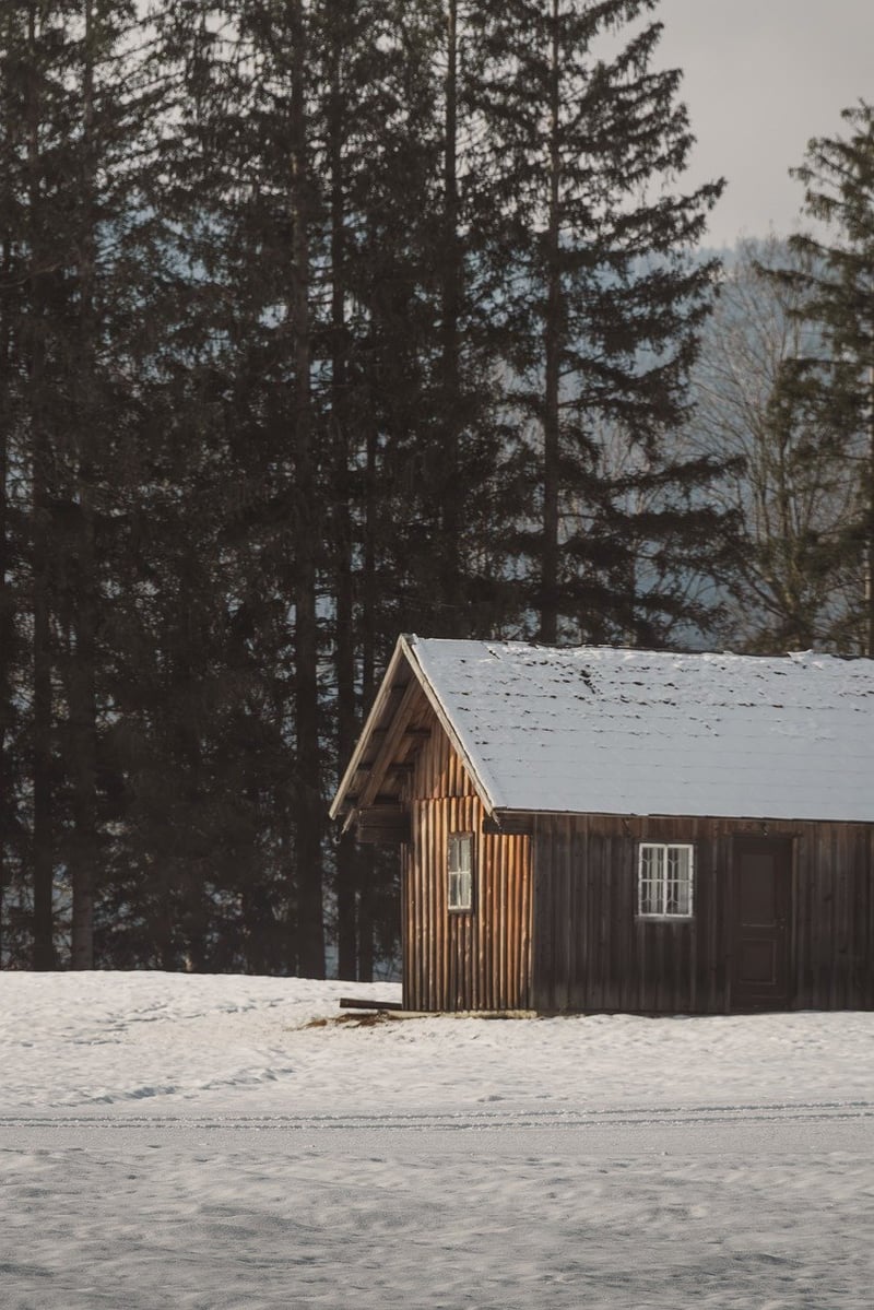 Woodland Retreat